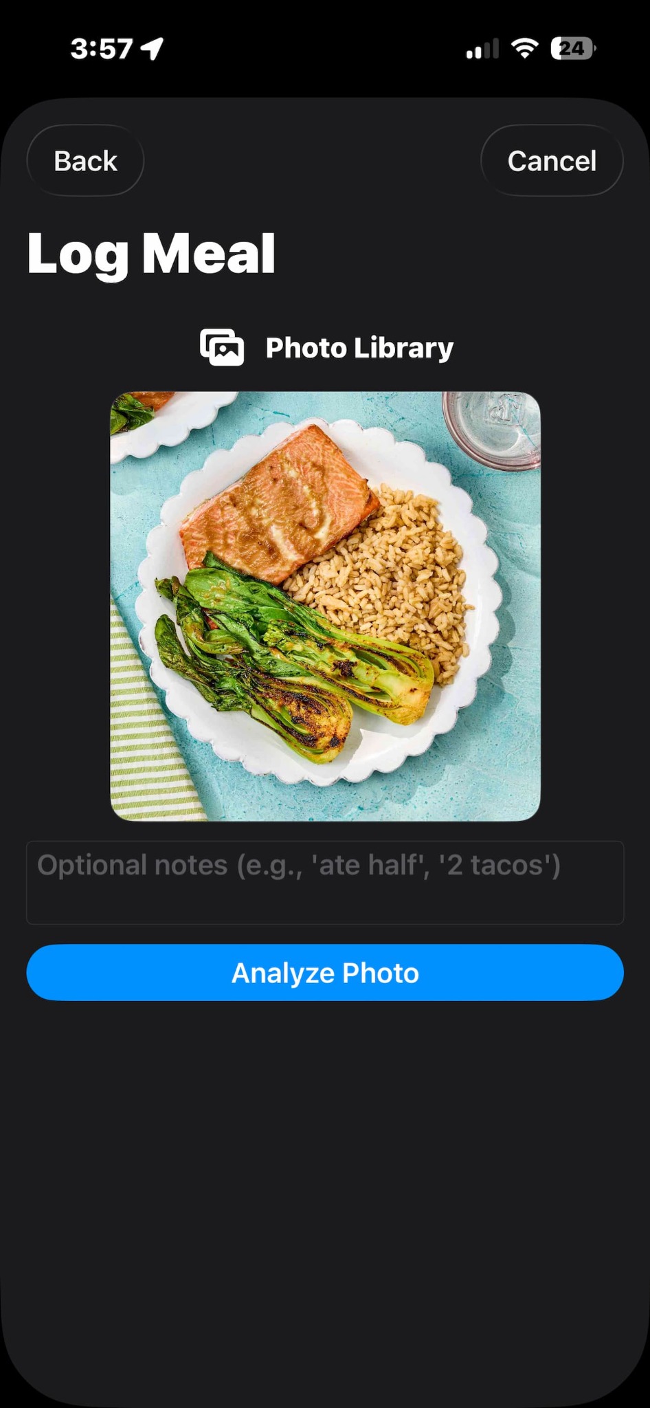Photo meal analysis screenshot